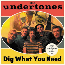 THE UNDERTONES â€“ dig what you need