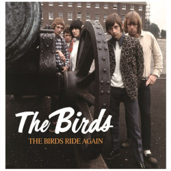 THE BIRDS â€“ the birds ride again