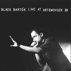 BLACK BARTÃ“K â€“ live at artemovszk 38